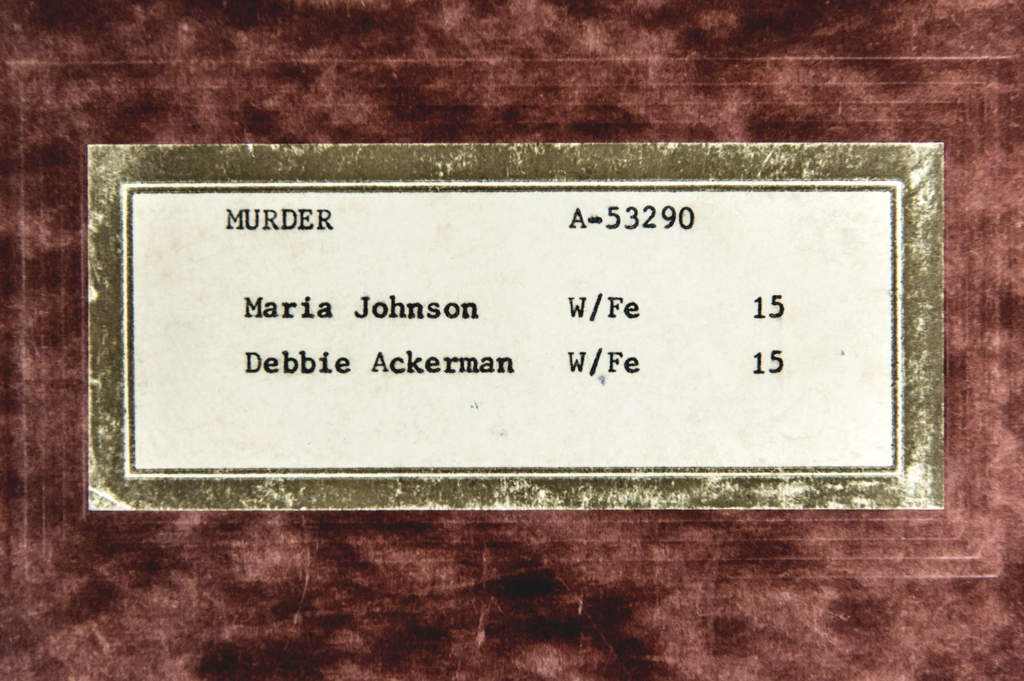 Maria Johnson och Debbie Ackerman försvann när de skulle lifta på Galveston. De hittades sen mördade vid Turner Bayou.